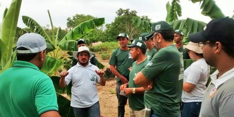 Senar abre seleção para técnico em agronegócio