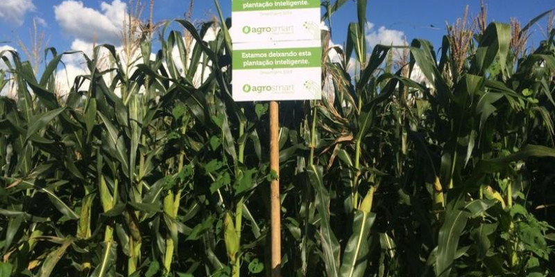 Estudante desenvolve plataforma que economiza até 60% de água na irrigação Estudante desenvolve plataforma que economiza até 60% de água na irrigação