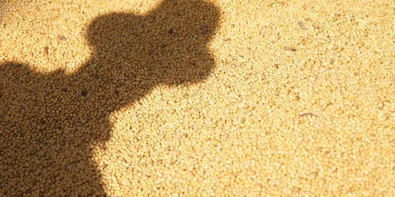 Mais da metade da população rural no mundo não tem acesso a serviços de saúde Mais da metade da população rural no mundo não tem acesso a serviços de saúde