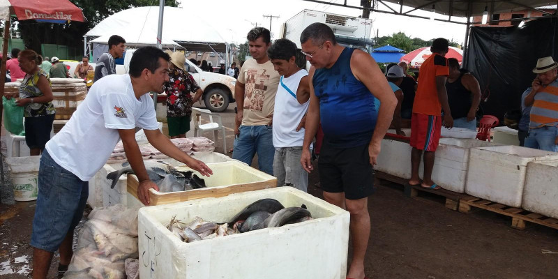 Projeto ‘Peixe Popular’ abre vagas para piscicultores em 9 municípios do AP Projeto ‘Peixe Popular’ abre vagas para piscicultores em 9 municípios do AP