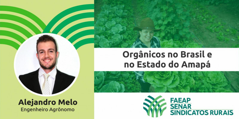 Artigo: Orgânicos no Brasil e no Estado do Amapá