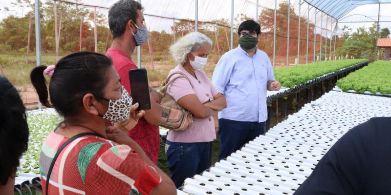 ATeG leva produtores rurais para conhecer empresa fornecedora da alface hidropônica no Amapá