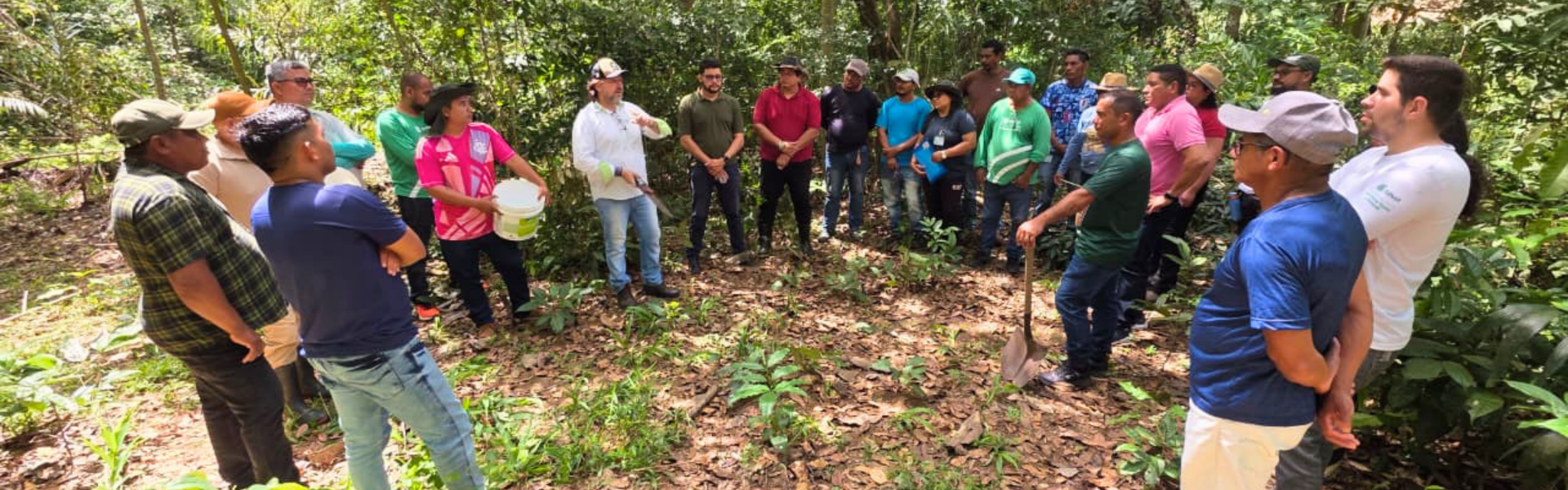 Sistema FAEAP/SENAR capacita técnicos da ATeG em Agricultura Orgânica e Regenerativa Sistema FAEAP/SENAR capacita técnicos da ATeG em Agricultura Orgânica e Regenerativa
