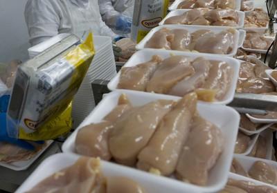 Cepea: preço da carne de frango é recorde de baixa em relação à bovina