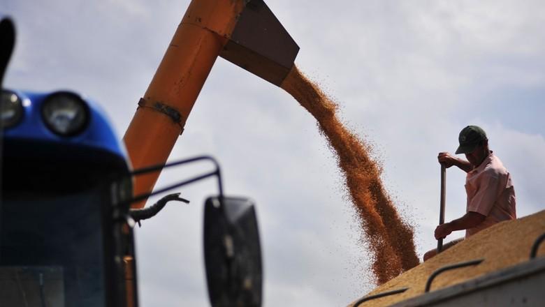 Mercado interno de milho tem forte oscilação de preços, diz Cepea