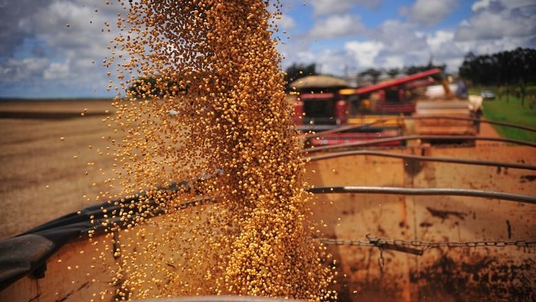Cinco países concentram 53% das exportações do agro brasileiro em junho