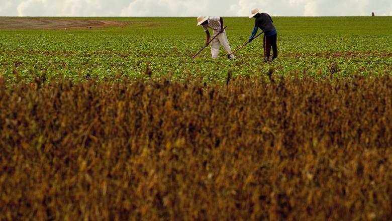 Governo muda regulamento para financiamento e previdência de produtor