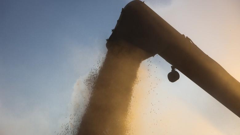 Com clima adverso, colheita da soja chega a 41% no Brasil