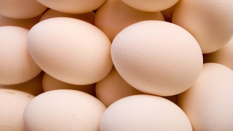 Produção de ovos de galinha sobe 6% no 1º trimestre, revela IBGE