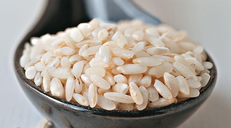 Estoque privado de arroz cresce 16% até fevereiro, para 865 mil toneladas, diz Conab