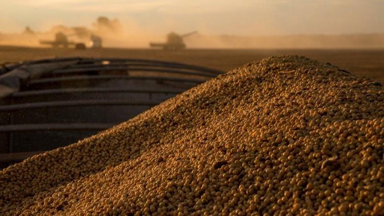 Superávit do agronegócio brasileiro cai 10,5% em junho e atinge US$ 7,22 bilhões