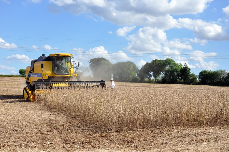 Colheita de soja no Amapá é destaque da edição de setembro de Globo Rural