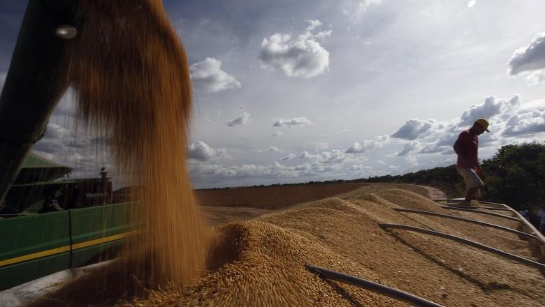 Piauí busca investimentos japoneses para o agronegócio