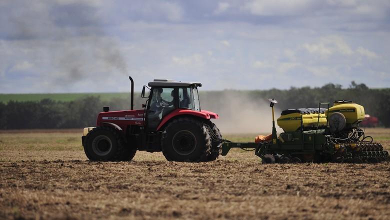 AgRural prevê colheita recorde de soja em janeiro em MT