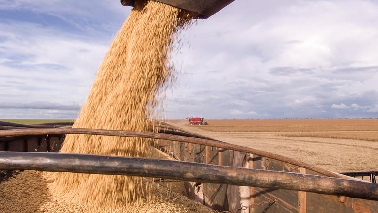 Colheita da soja avança e atinge 11,5% da área em Mato Grosso