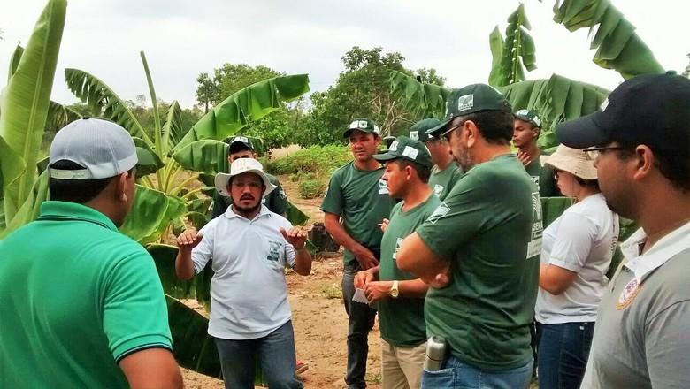 Senar abre seleção para técnico em agronegócio