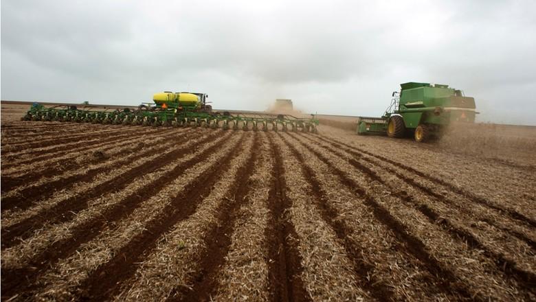 Chuvas reduzem ritmo da colheita da soja em Mato Grosso