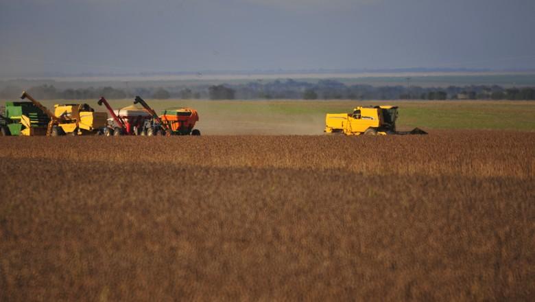 Colheita da soja atinge 66% da área em MT e plantação do milho 79%