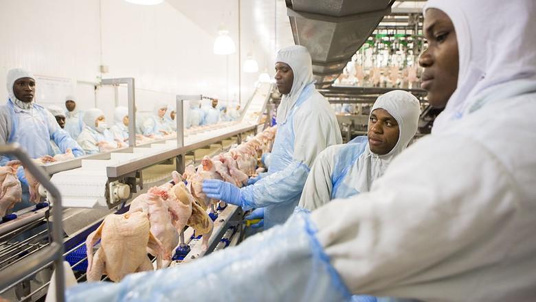 Operação Carne Fraca: Brasil já perdeu US$ 40 milhões com exportações de aves e suínos
