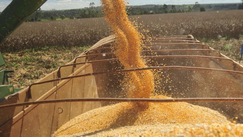 Operação Carne Fraca pode impactar demanda interna de grãos