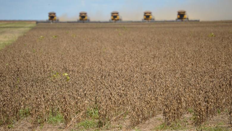 Mato Grosso acelera e leva colheita de soja a 3,8% no Brasil