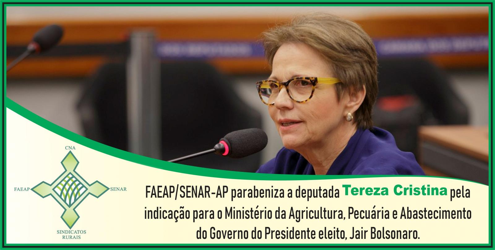 FAEAP/SENAR-AP parabeniza a deputada Tereza Cristina pela indicação para o Ministério da Agricultura