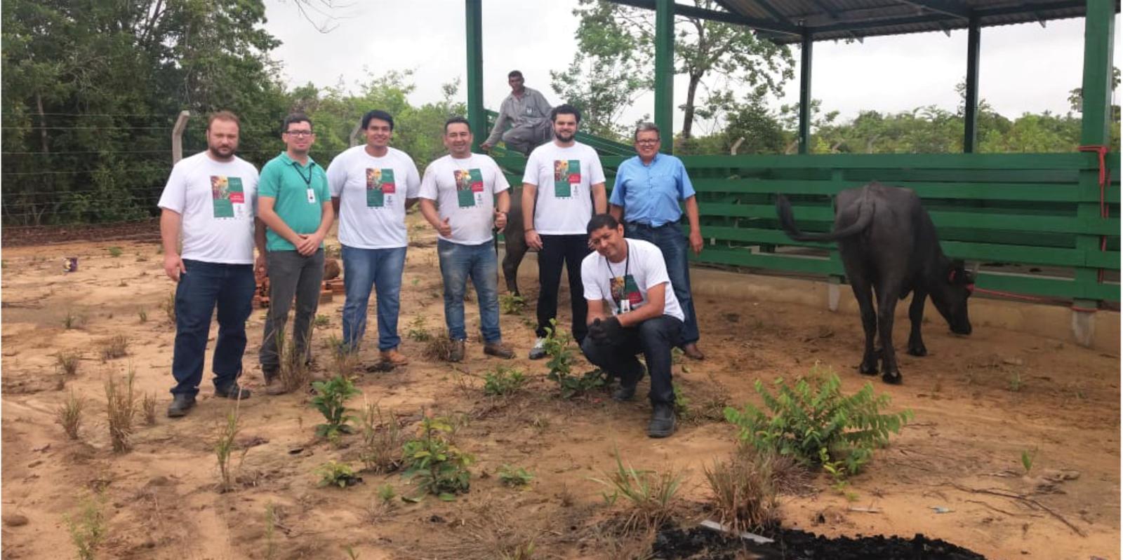 Presidente da FAEAP doa animais para o novo curso de medicina veterinária do IFAP 