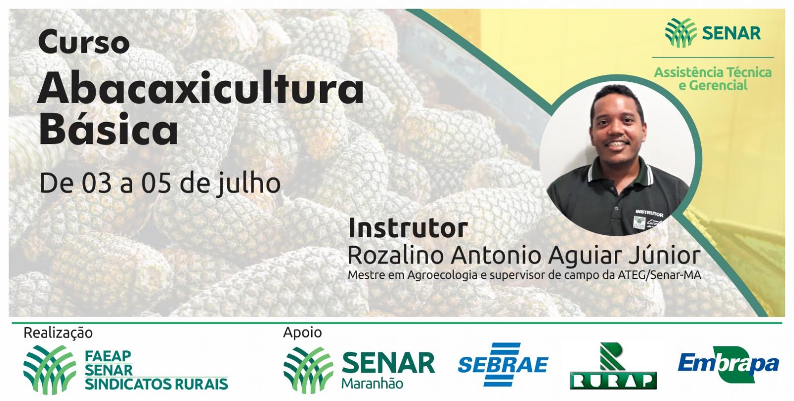 Produtores rurais atendidos pela ATeG do Senar/AP receberão formação na área da abacaxicultura