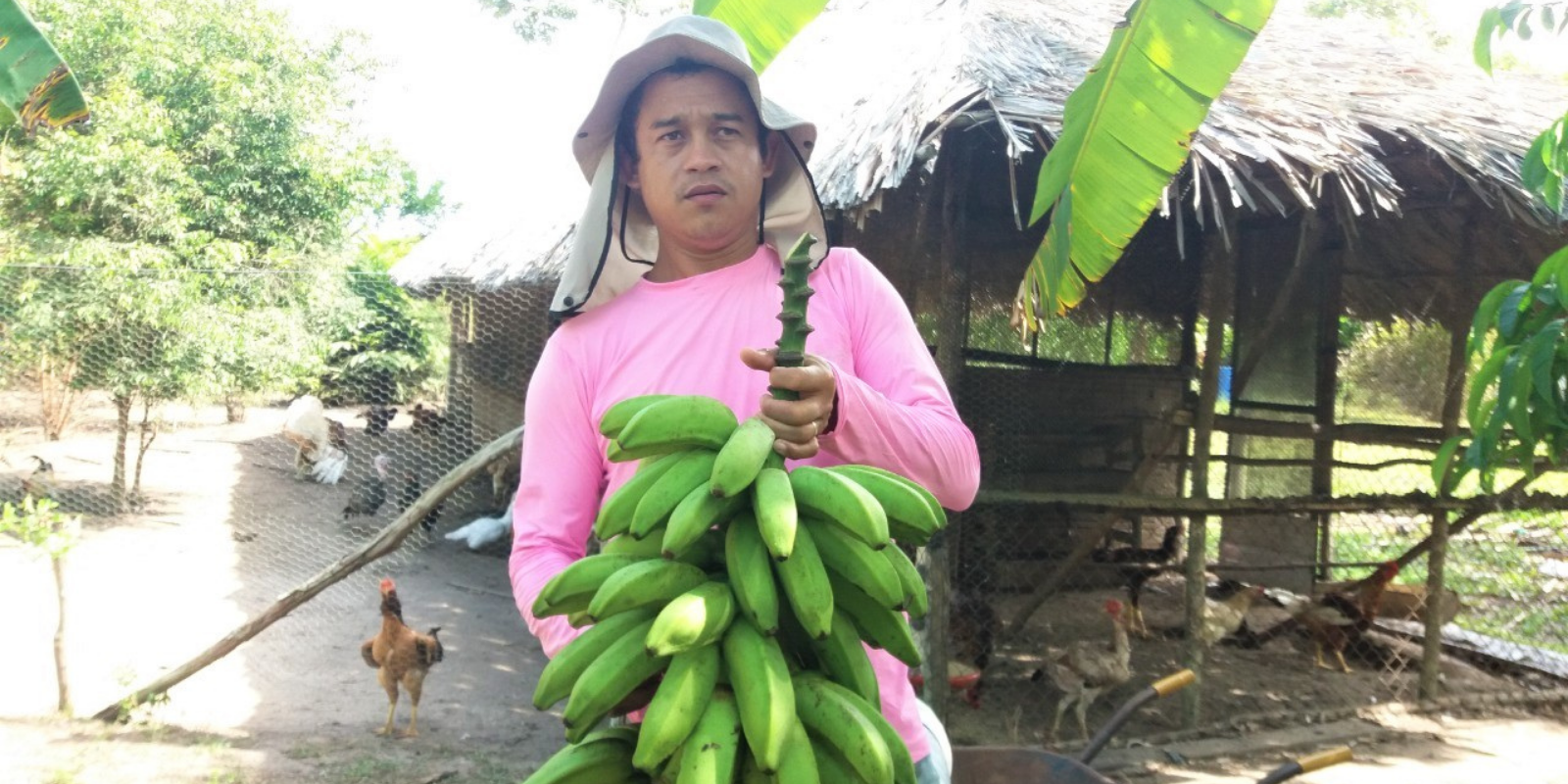 Produtor rural do Amapá cria canal no YouTube com dicas para aprimorar a produção de alimentos orgânicos