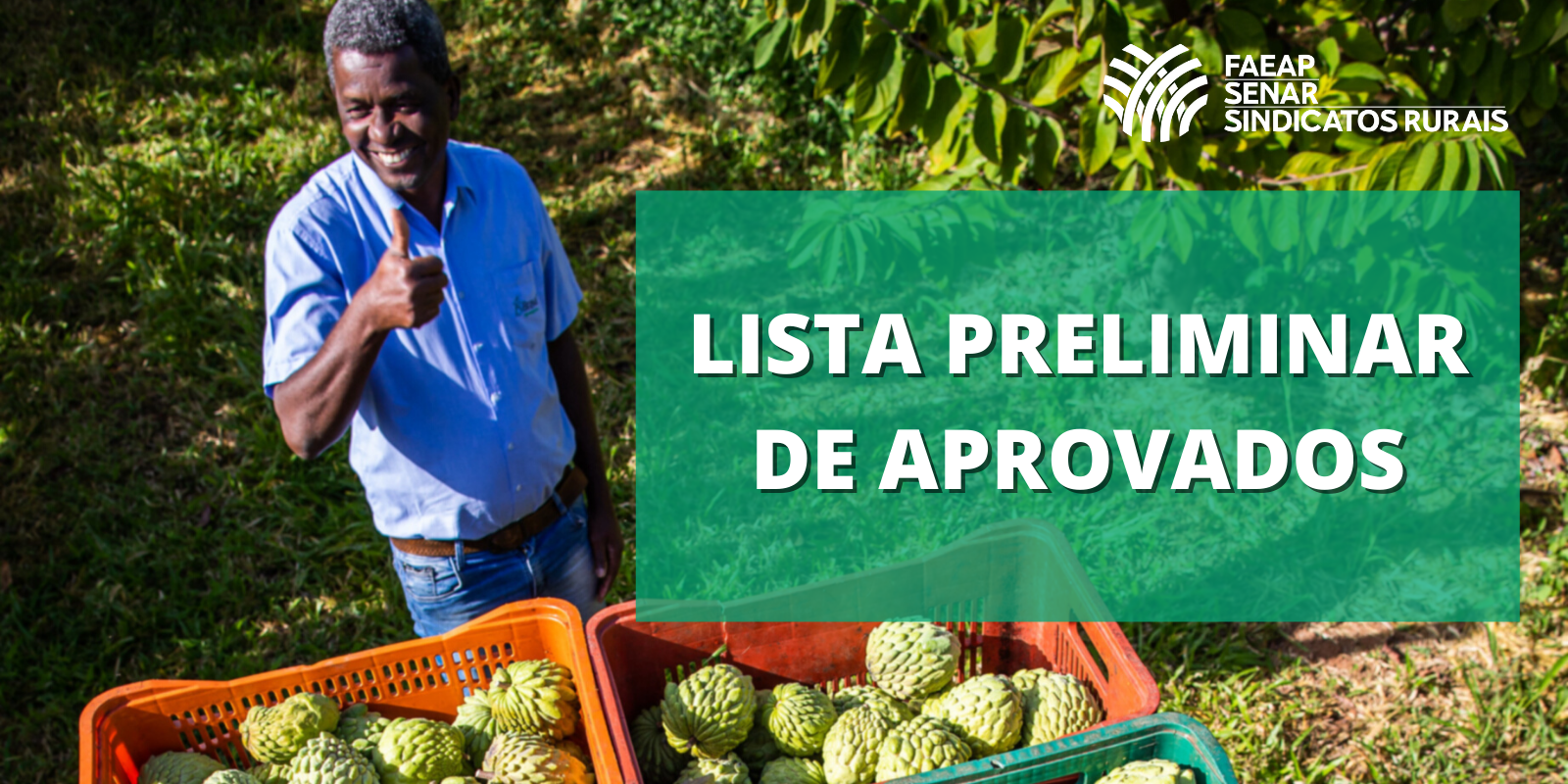 Confira a lista preliminar dos candidatos aprovados no Curso Técnico em Fruticultura do Senar/AP