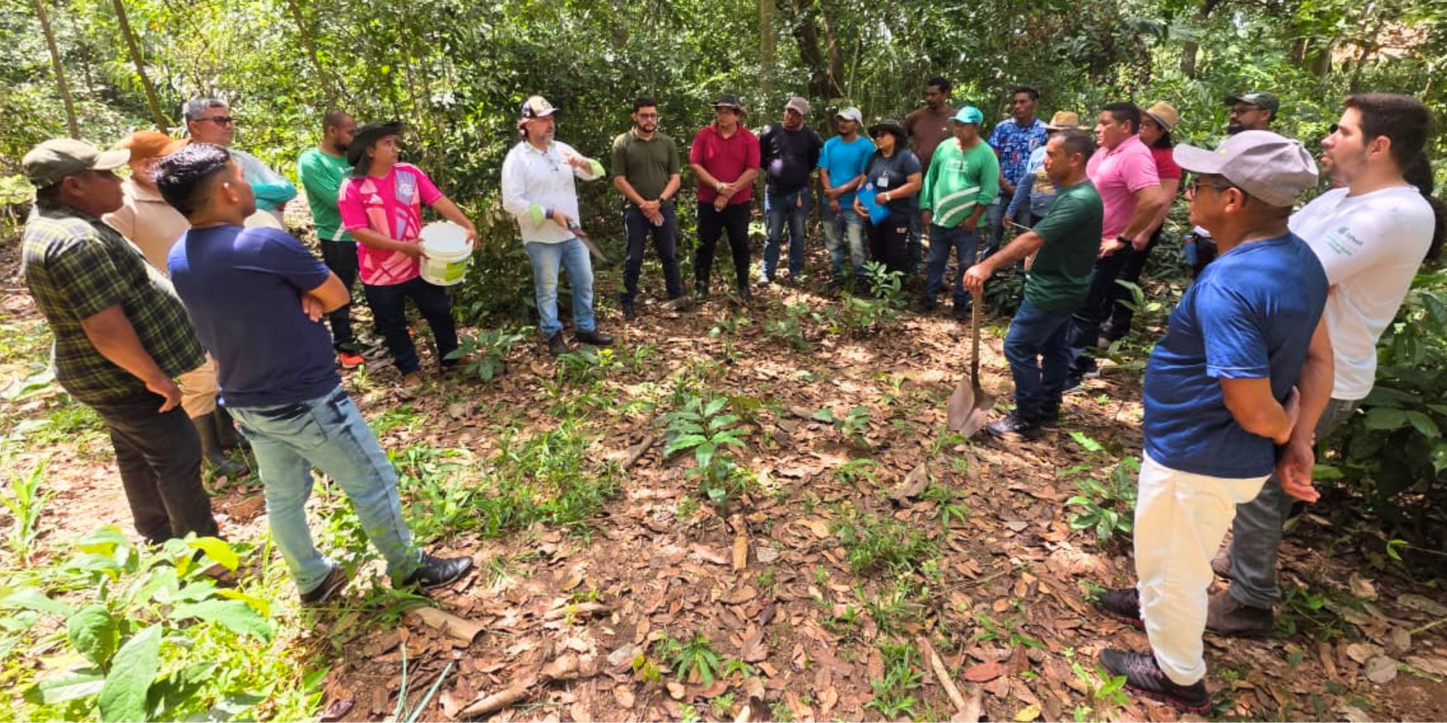 Sistema FAEAP/SENAR capacita técnicos da ATeG em Agricultura Orgânica e Regenerativa