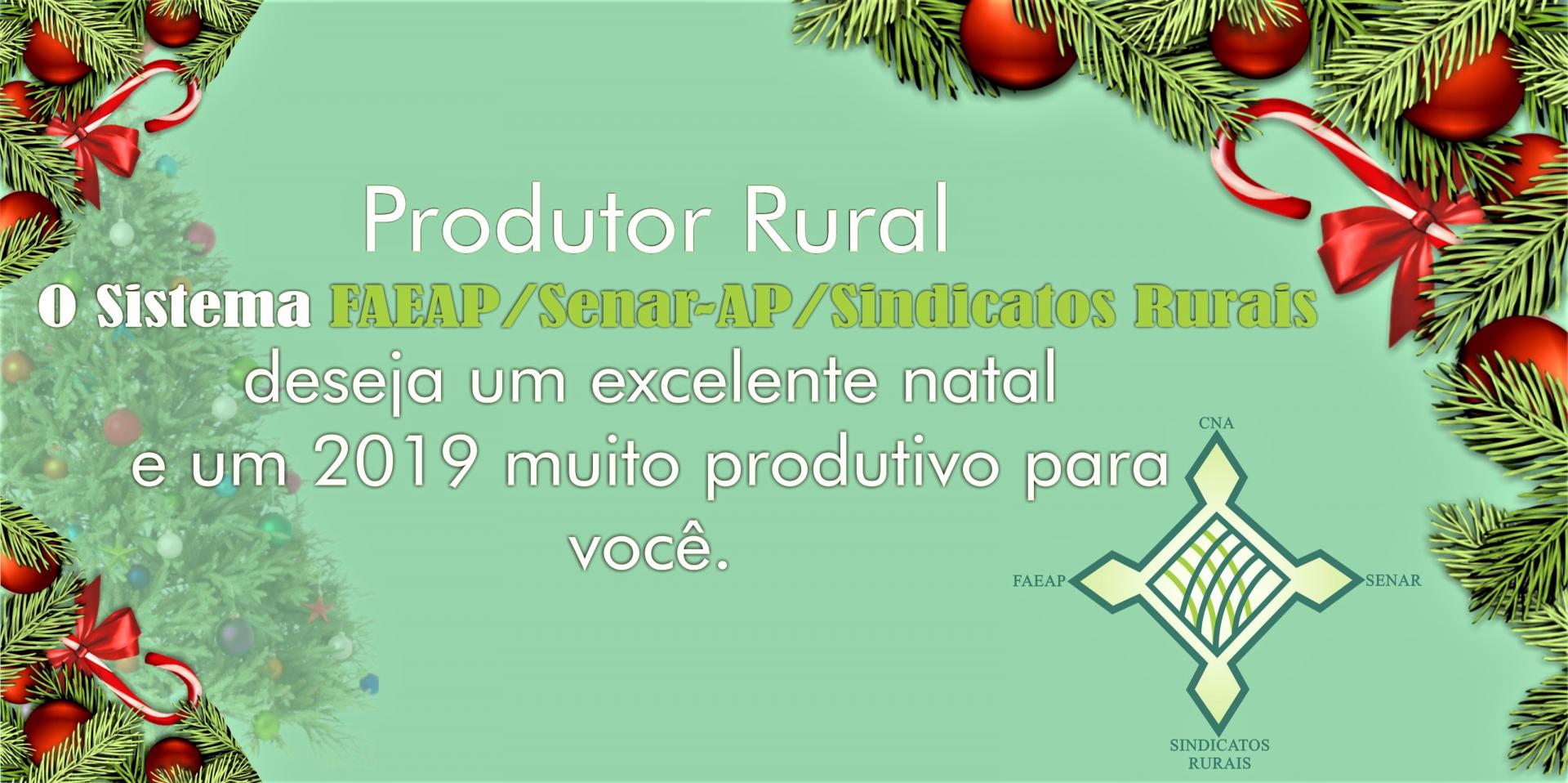 Feliz natal e um produtivo ano novo!