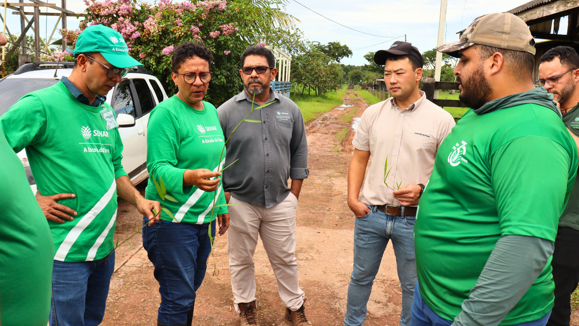 No Amapá, programa AGROnorte promove atualização de tecnologias para o planejamento de pastagem 